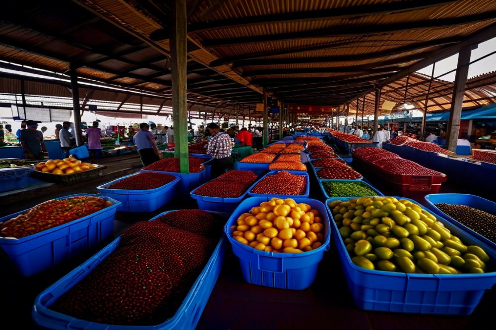 exploring-the-unique-mercado-del-pescado-puerto-a